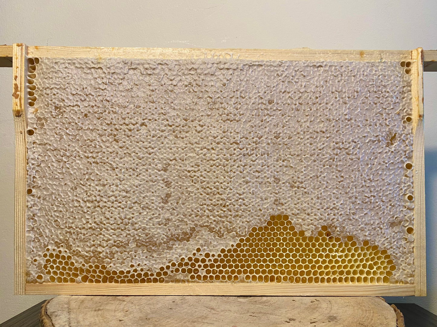 Experience the pure delight of a whole frame of honeycomb, a golden masterpiece crafted by nature. This exquisite treat features beautifully structured, hexagonal cells filled with rich, amber honey, bursting with floral flavors and natural sweetness. Each bite offers a delightful combination of chewy wax and liquid honey, perfect for drizzling over toast, adding to cheese platters, or enjoying straight from the comb. Packed with nutrients, enzymes, and antioxidants.