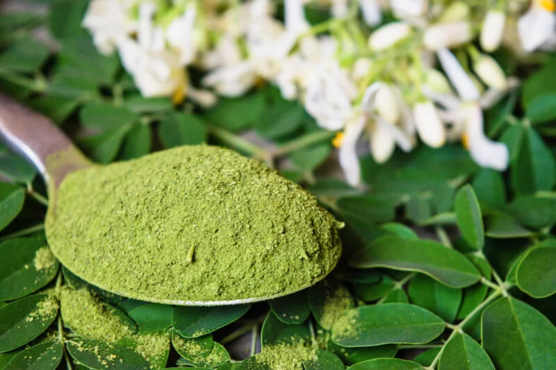 Organic Moringa Powder