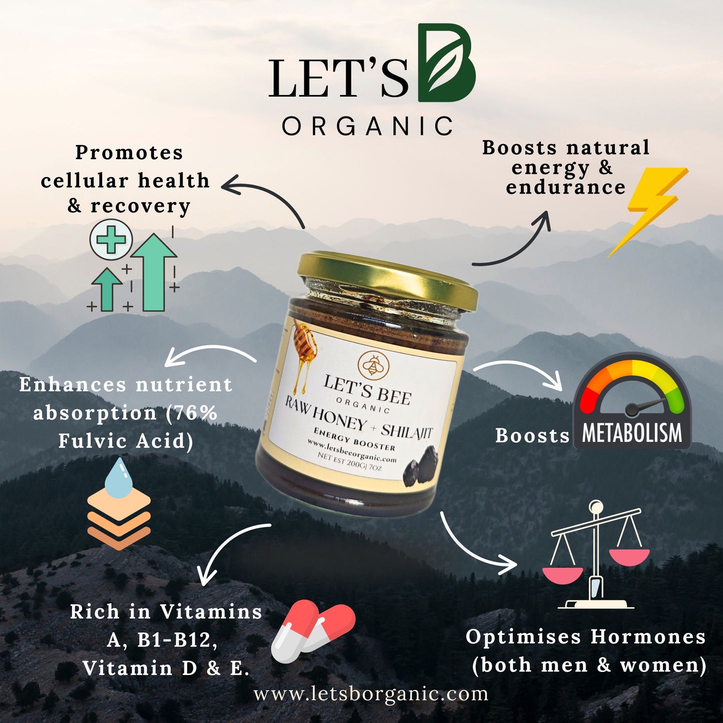 Shilajit-Honey Mix (Super Energy Booster)